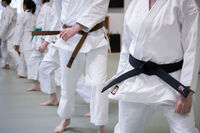 Kicking into Fitness: Get Fit with Karate