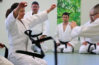 Ann Arbor Jujutsu Practitioner Combines Martial Arts and Leadership Research | Andrea Derler