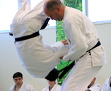 Stress Relieving Martial Artist Quotes from Judo to Jiu Jitsu (Ann Arbor, MI)