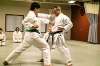 What to Expect When Beginning Martial Arts in Ann Arbor