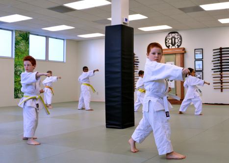 Two boys practicing karate kata