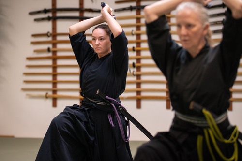 Womens Martial Arts in Ann Arbor