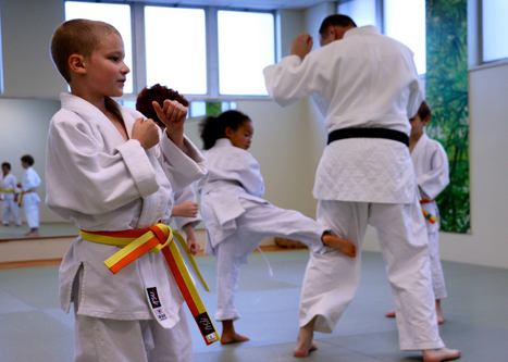 Ann Arbor Kids Karate
