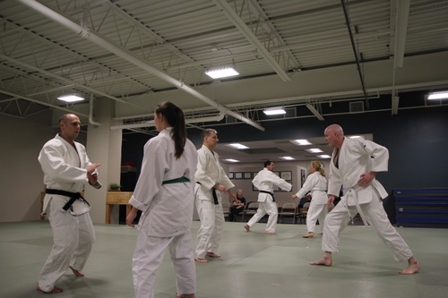 Classes for Japanese Jujutsu in Ann Arbor at JMAC 