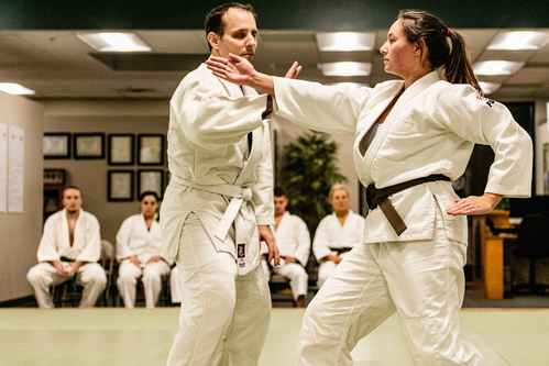 Martial Arts in Ann Arbor - Judo at JMAC